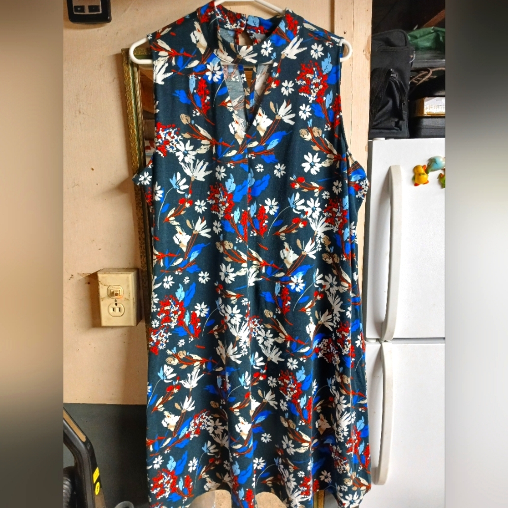 Relativity Sleeveless dress size 2X